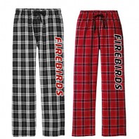 FIREBIRDS dt1800 2800